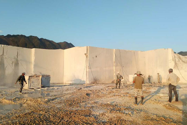 Spécialisé dans le produit